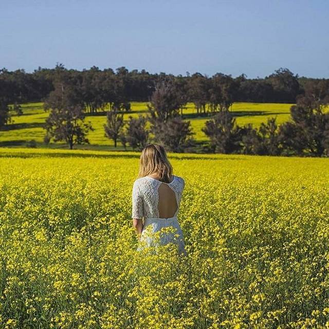 10 Must Dos in Boyup Brook