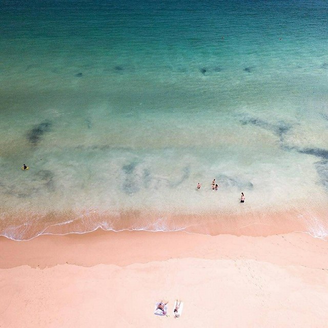 Celebrating Christmas in BunGeo!