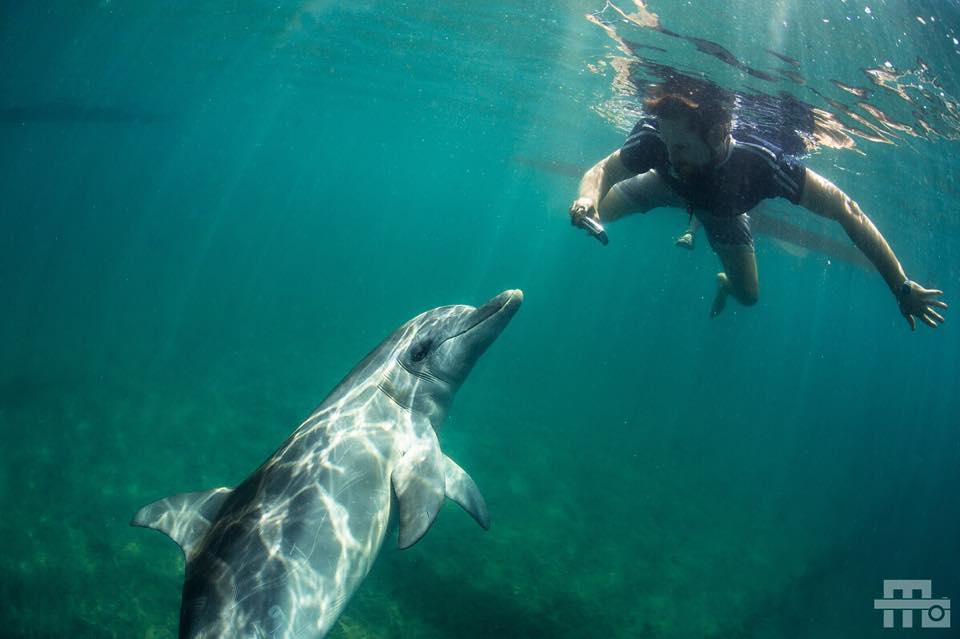 Dolphin Discovery Centre Bunbury