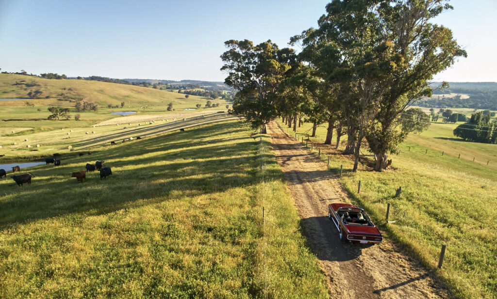 10 Must Dos in the Ferguson Valley