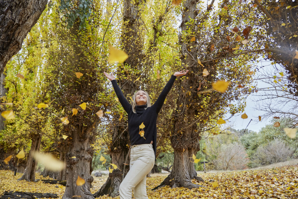 14 Must Dos in Donnybrook-Balingup