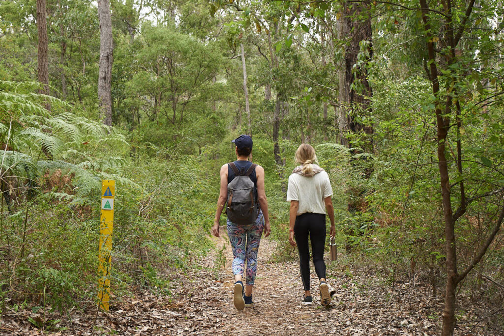 Find the Best Walks in Collie