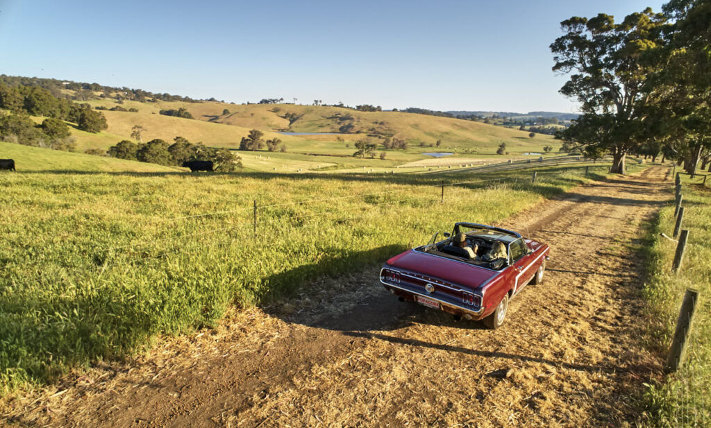 New Ferguson Valley Drive Trails Magazine