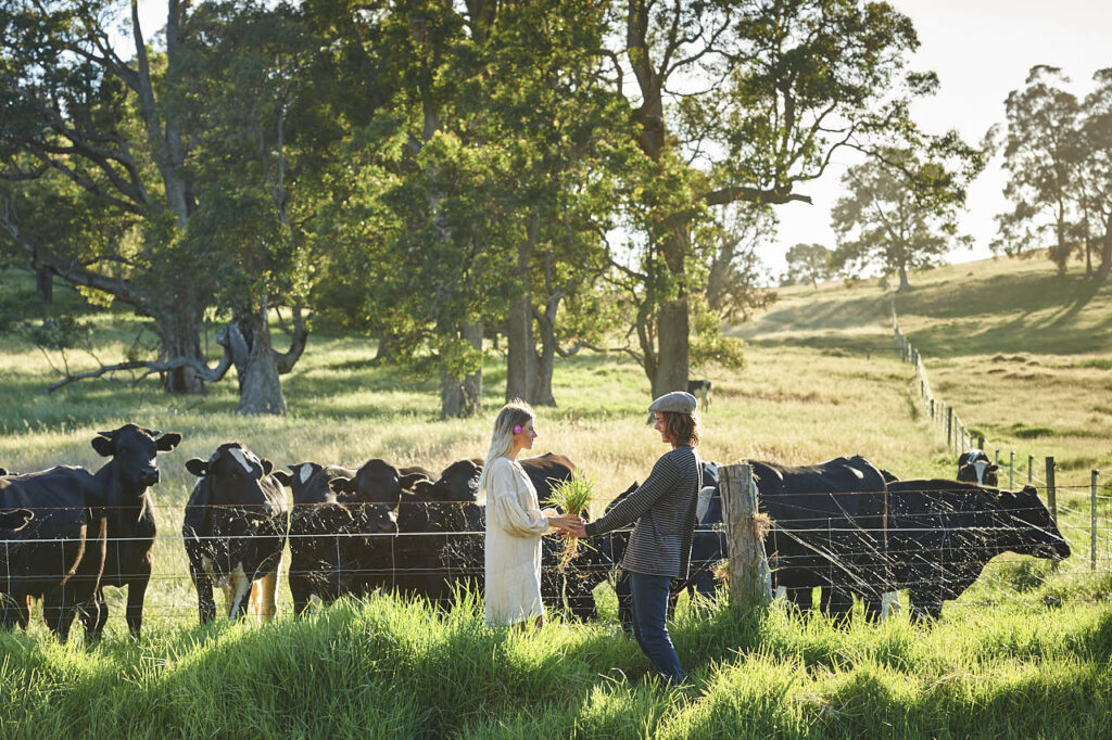 Come and Explore Winter in Bunbury Geographe