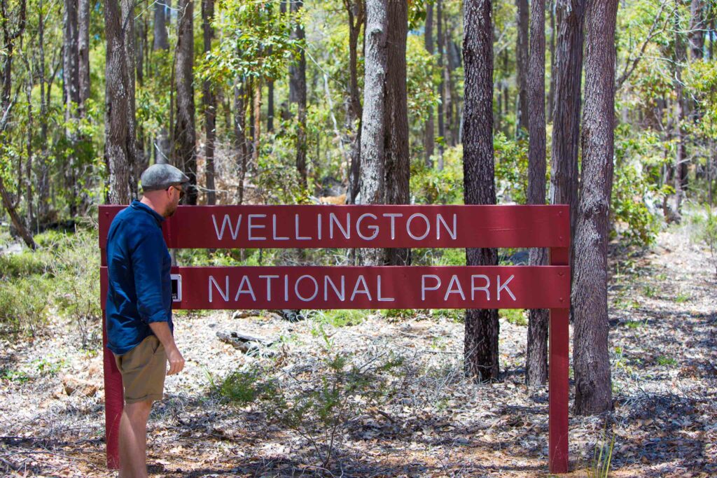 Go Tree Hunting in BunGeo