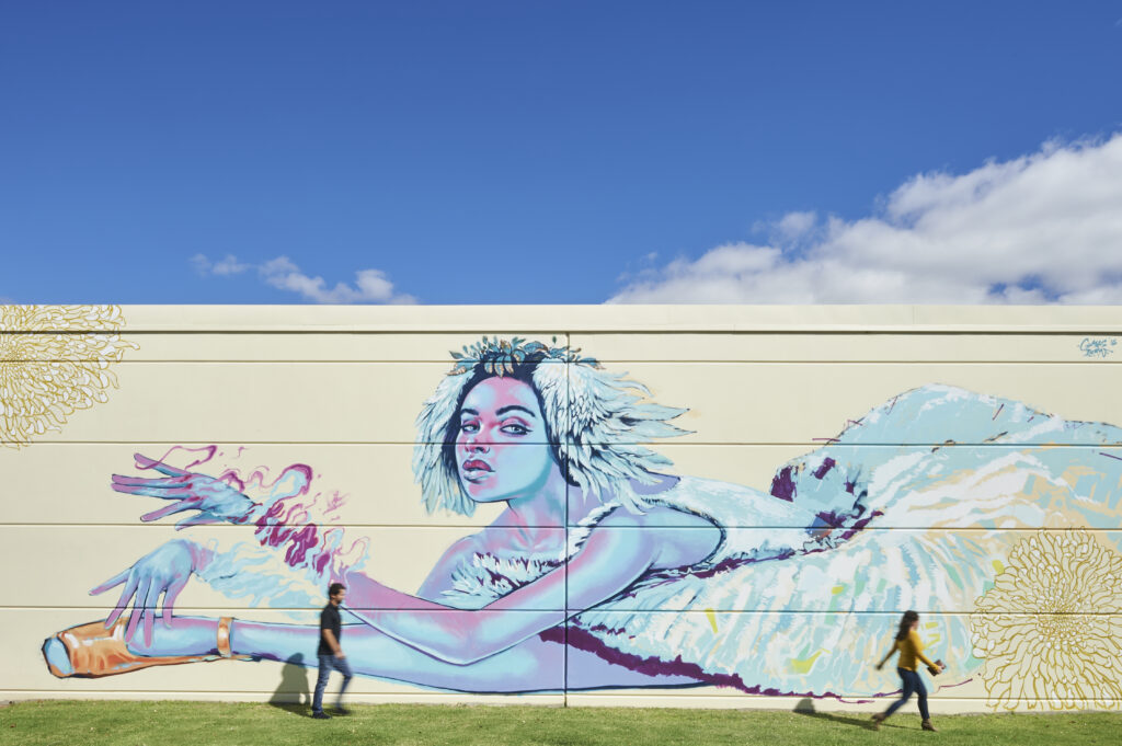 15 Must Dos in Bunbury